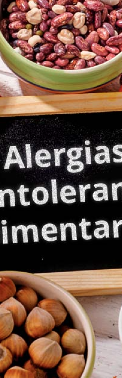 CURSO ALERGENOS E INTOLERANCIAS