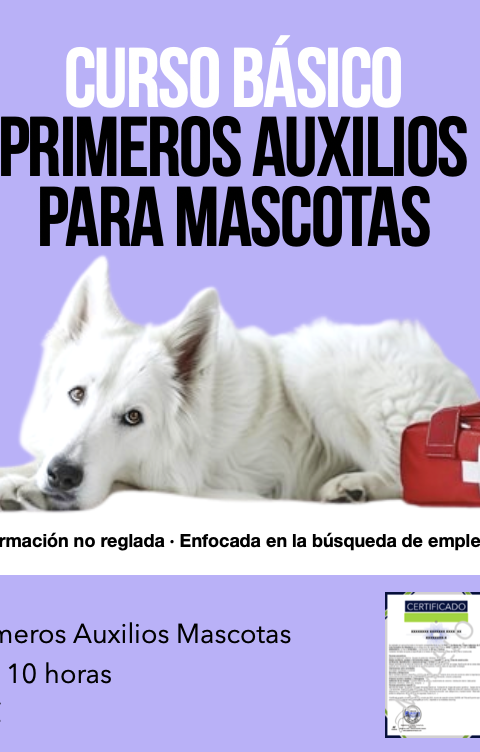 CURSO SOS MASCOTAS EMAIL
